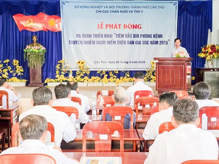 Cần Thơ tổ chức phát động ra quân tiêm phòng bệnh cho gia súc 