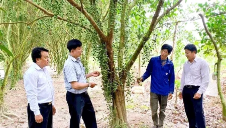 Huy động nguồn vốn cho vay, đáp ứng nhu cầu phát triển sản xuất, kinh doanh 