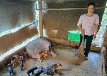 Cựu chiến binh làm kinh tế giỏi
