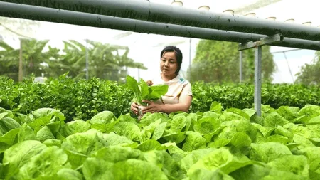 Tạo đột phá phát triển khoa học, công nghệ, đổi mới sáng tạo và chuyển đổi số quốc gia trong lĩnh vực nông nghiệp và môi trường 