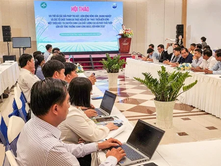 Thúc đẩy liên kết giữa nông dân, hợp tác xã và doanh nghiệp trong thực hiện Ðề án 1 triệu héc-ta lúa 