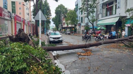 Chủ động ứng phó thiên tai, bảo đảm an toàn tính mạng con người và tài sản   