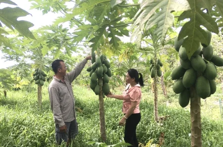 Đáp ứng nhu cầu tạo việc làm, tăng thu nhập 