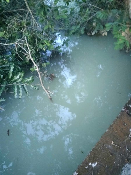 TP.Tân An thông tin về việc xử lý nhà máy xả thải ra kênh gây ô nhiễm   