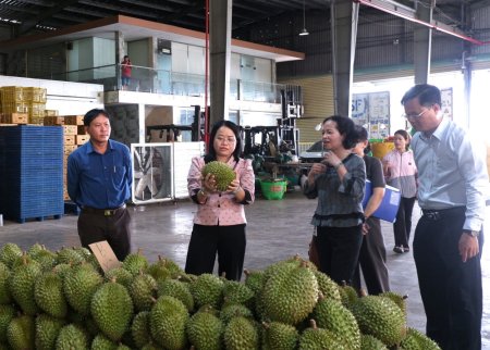 Lối đi nào để ngành hàng sầu riêng phát triển bền vững?: Mở lối cho ngành hàng sầu riêng (Kỳ cuối)
