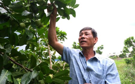 Thay đổi tư duy nông nghiệp