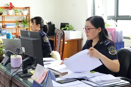 Từ 1-7, chính thức phân công kiểm tra hồ sơ hải quan được tự động hóa 