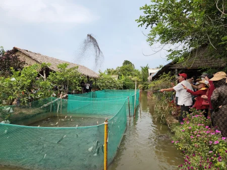 Phát triển, định vị thương hiệu sản phẩm nông nghiệp, dịch vụ nông thôn 