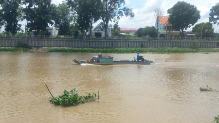 Nước lũ bắt đầu đổ về vùng Đồng Tháp Mười của tỉnh