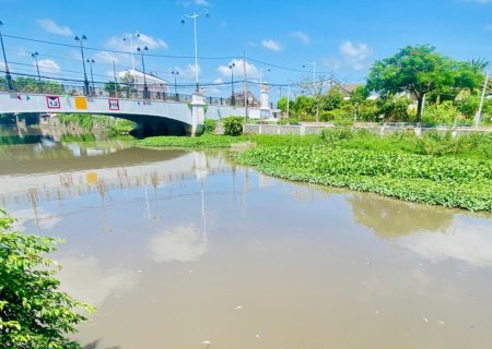 Cá lại chết bất thường trên rạch Tây Ninh   