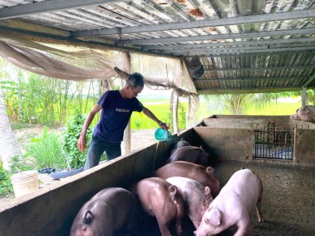 Phát huy nguồn vốn tín dụng chính sách xã hội