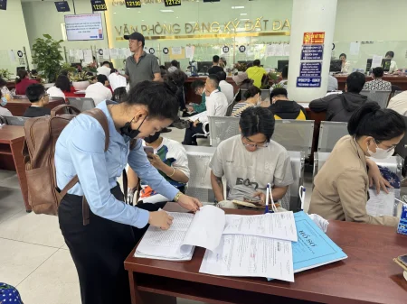 Đồ họa hướng dẫn quản lý đất đai