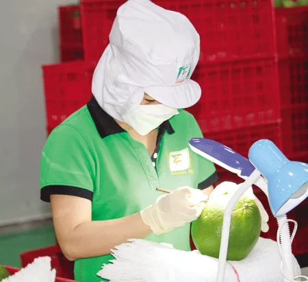 Hoa Kỳ - thị trường rộng lớn nhưng không dễ “chen chân” 