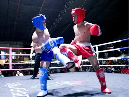 Tiềm năng phát triển kickboxing khi nguồn lực quy tụ về một mối 