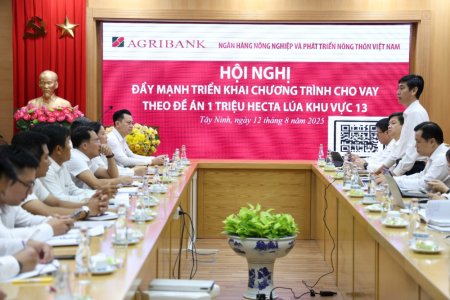 Agribank khu vực Tây Nam Bộ thúc đẩy vay vốn đề án 1 triệu hécta lúa chất lượng cao