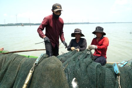 Phấn đấu tăng trưởng khu vực nông - lâm - thủy sản trên 4%