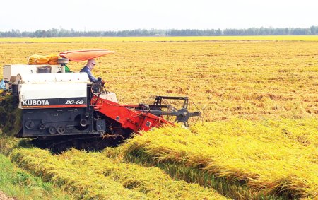 Tây Ninh: Đẩy mạnh phát triển nông nghiệp ứng dụng công nghệ cao
