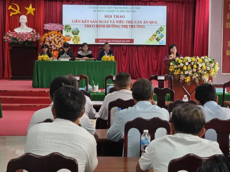 Tăng cường liên kết sản xuất và tiêu thụ trái cây 