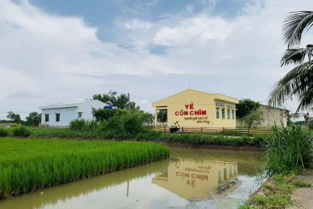 Sản xuất xanh để phát triển bền vững 