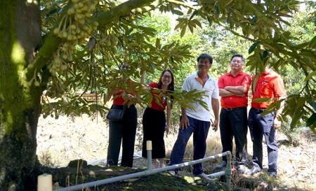 Agribank Vĩnh Long tiếp sức cho nông nghiệp bền vững 