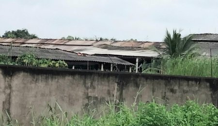 Yêu cầu trại gà khắc phục tình trạng gây ô nhiễm