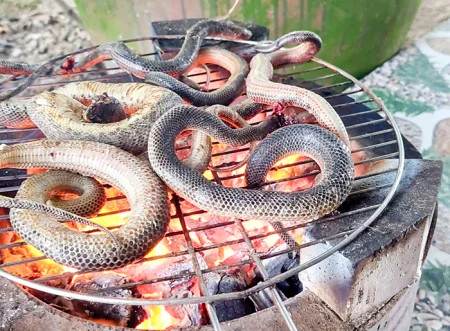 Đệ nhất nướng! 