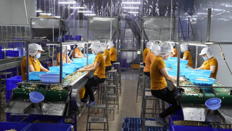 Tôn vinh những tấm gương tiêu biểu