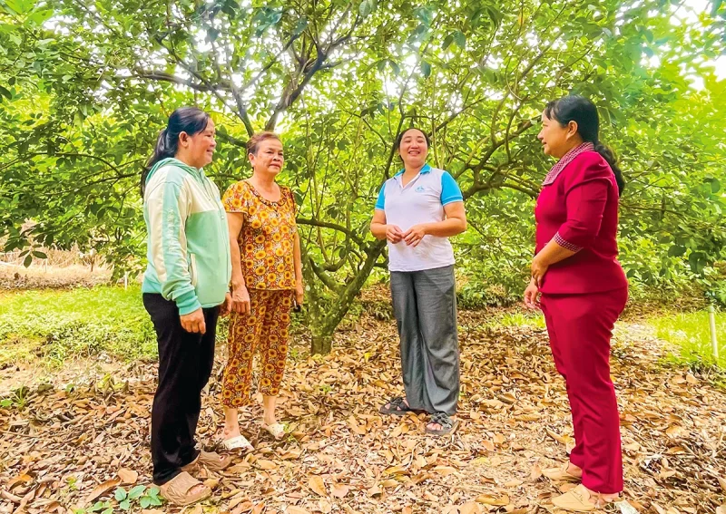 Đoàn kết giúp nhau nâng cao mức sống&nbsp;