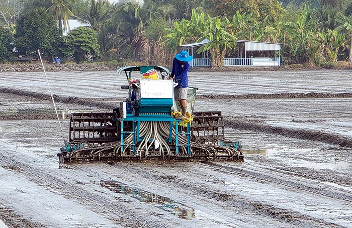 Nâng cao hiệu quả sử dụng phân bón trong sản xuất lúa&nbsp;