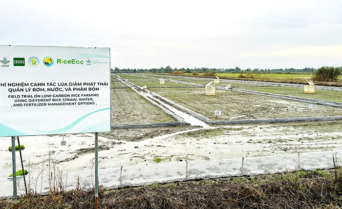 Phát huy vai trò “kiềng 3 chân” trong chuỗi giá trị sản xuất nông nghiệp&nbsp;