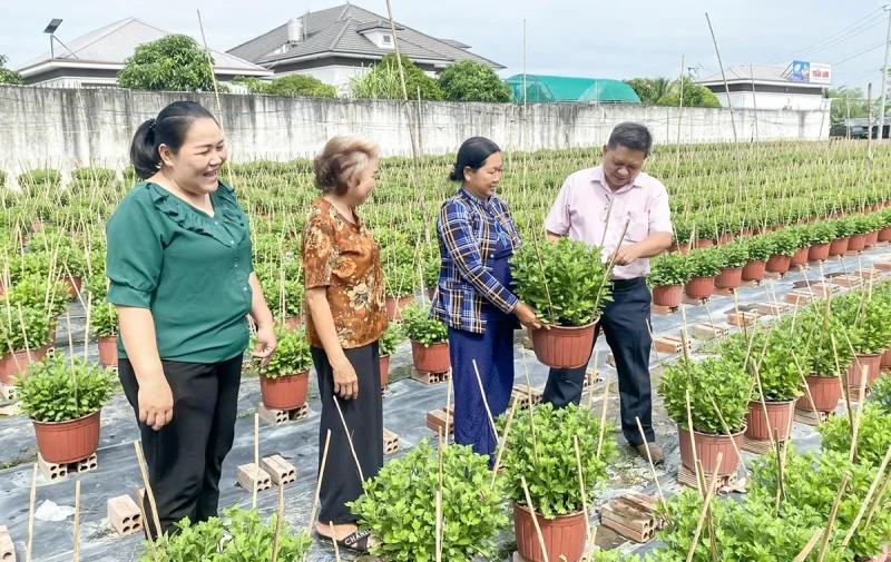 Vận dụng vốn vay ưu đãi,phát triển sản xuất, kinh doanh&nbsp;