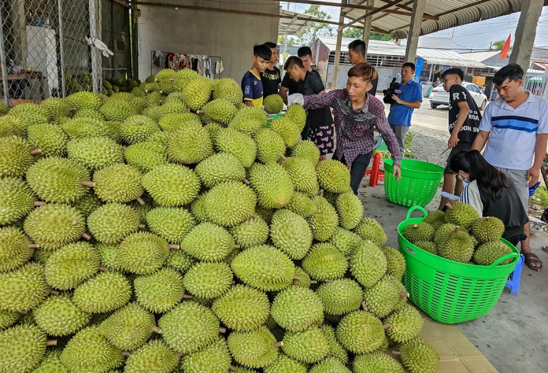 Kỷ lục xuất khẩu và khẳng định vị thế trụ đỡ của nền kinh tế&nbsp;