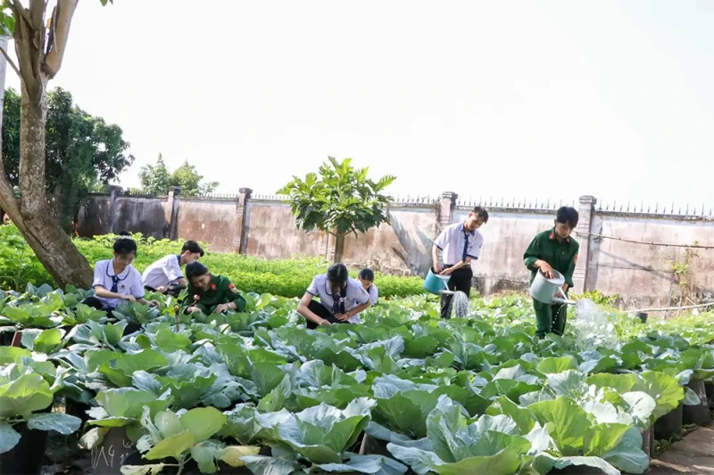 Trồng rau, trồng hoa giúp bạn vượt khó&nbsp;