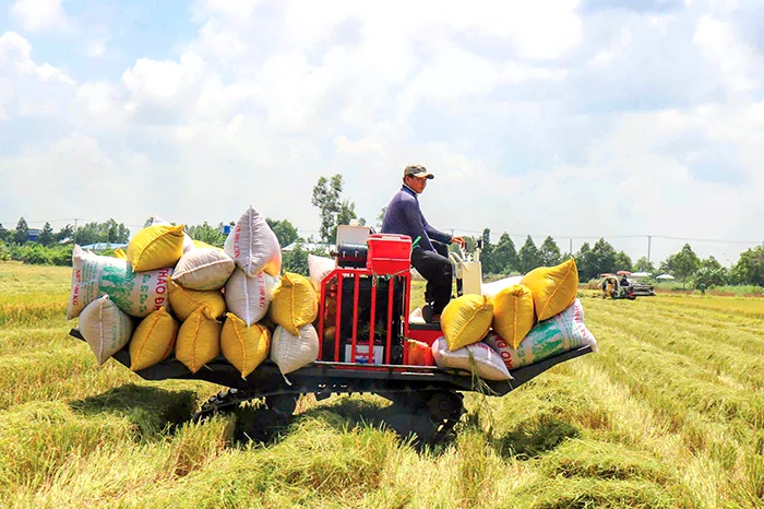 Hỗ trợ nông dân nâng cao hiệu quả sản xuất nông nghiệp&nbsp;