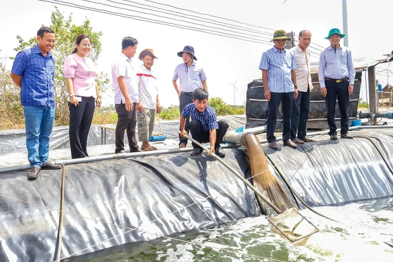 Những khuyến cáo khi nuôi tôm nước lợ&nbsp;