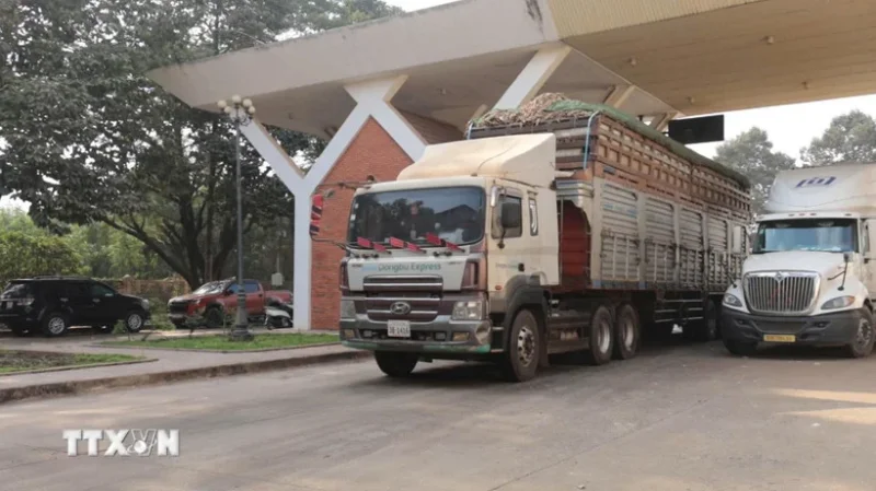 Khẩn trương giải tỏa ách tắc, thông quan kịp thời thực phẩm, hàng hóa&nbsp;