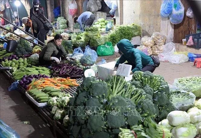 Bảo đảm an toàn thực phẩm, phòng ngừa ngộ độc dịp Tết, lễ hội Xuân 2026&nbsp;