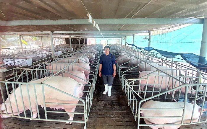 Đảm bảo sản phẩm động vật an toàn, chất lượng phục vụ Tết&nbsp;