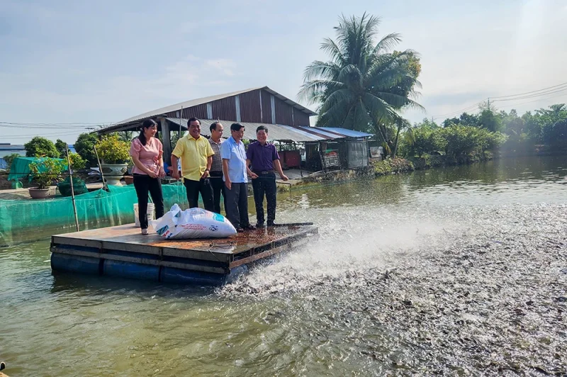 Chú trọng quản lý, bảo vệ và phát triển thủy sản bền vững&nbsp;