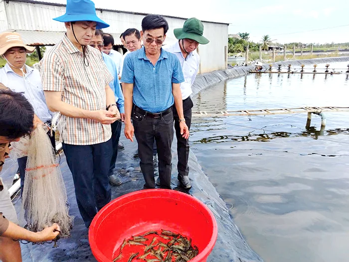 Vị ngọt con tôm nước lợ&nbsp;