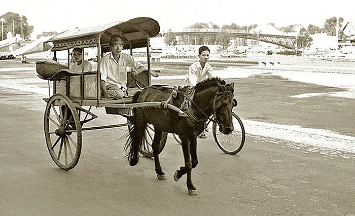 Lối xưa xe ngựa Cần Thơ&nbsp;