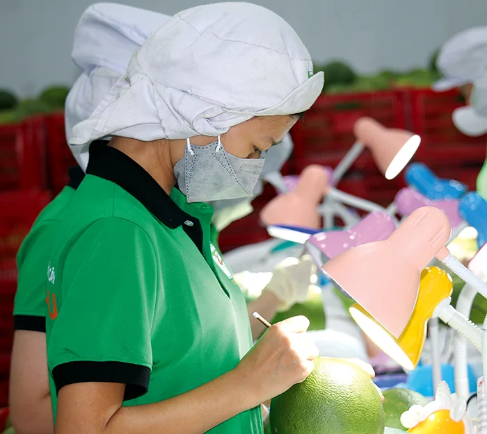 Tháng 1, kim ngạch xuất khẩu hàng hóa cả nước đạt 43,19 tỉ USD&nbsp;