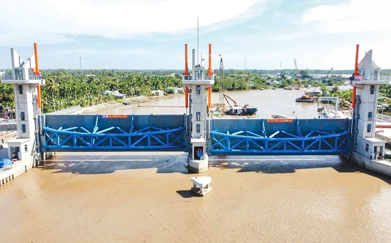 Tăng cường bảo vệ lúa đông xuân trước khô hạn và xâm nhập mặn&nbsp;