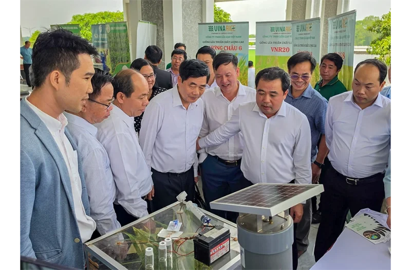 Đề án 1 triệu héc-ta lúa mang lại nhiều kết quả tích cực sau hai năm triển khai&nbsp;