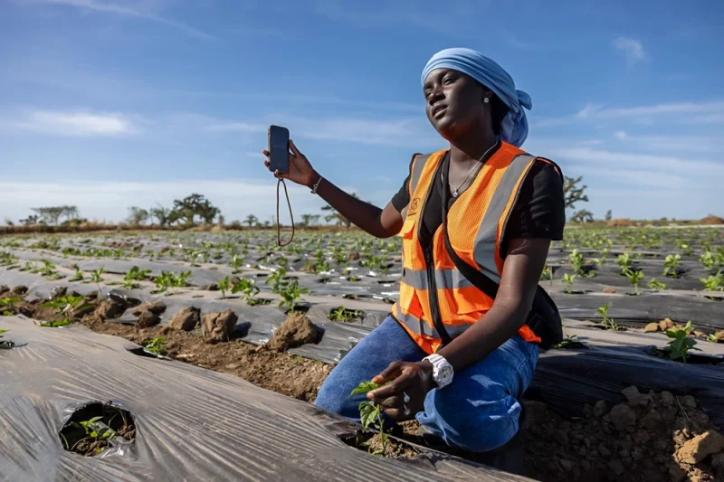 Nông dân châu Phi tận dụng mạng xã hội&nbsp;