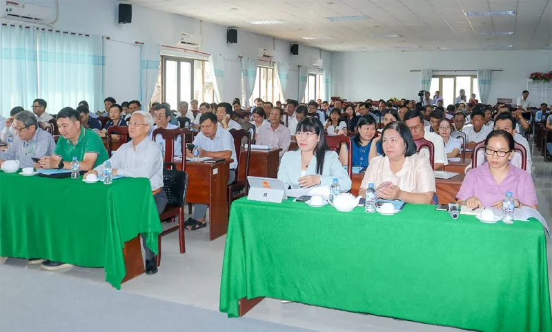 Thúc đẩy phát triển vùng lúa chất lượng cao và phát thải thấp&nbsp;