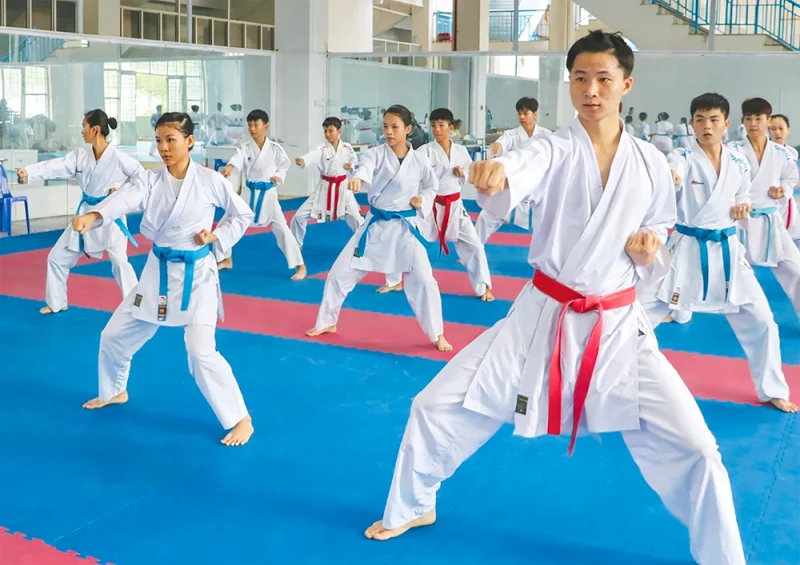 Giải các CLB Karate quốc gia khu vực miền Nam khai mạc ngày 17-4&nbsp;