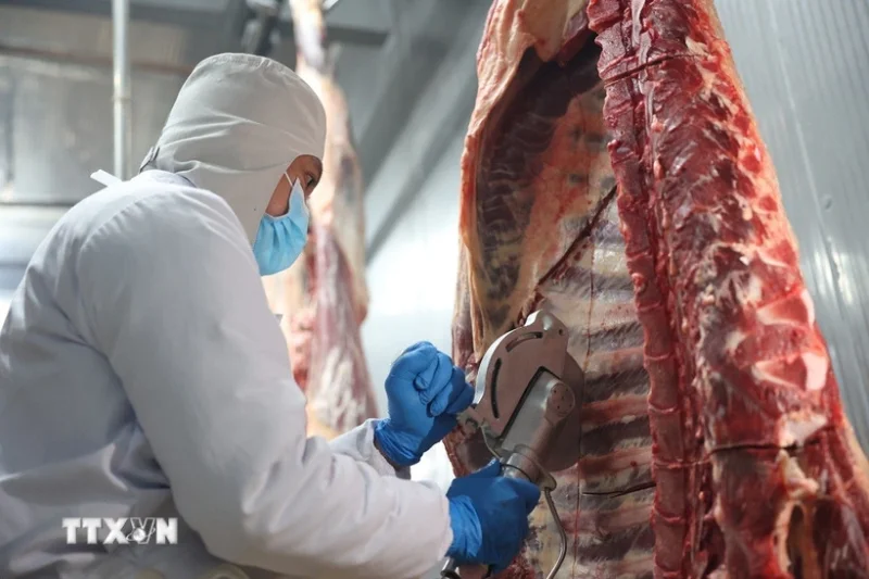 Công điện của Thủ tướng về chấn chỉnh công tác kiểm soát giết mổ gia súc&nbsp;