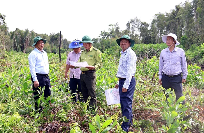 Lãnh đạo thành phố kiểm tra công tác phòng cháy, chữa cháy rừng tại Phân trường Thạnh Trị&nbsp;