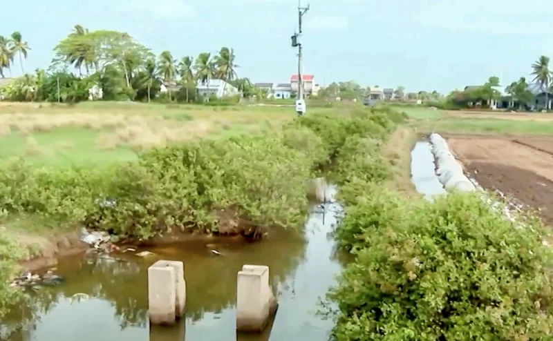 Cần sớm gỡ “nút thắt” cho vùng chuyên canh màu Vĩnh Hải&nbsp;